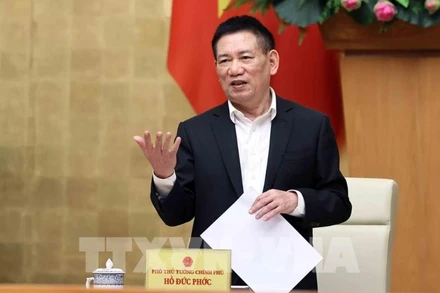 Phó Thủ tướng Hồ Đức Phớc. (Ành: TTXVN)