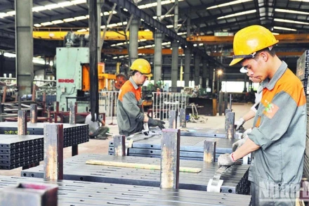 Ảnh minh họa. (ANH CHI)