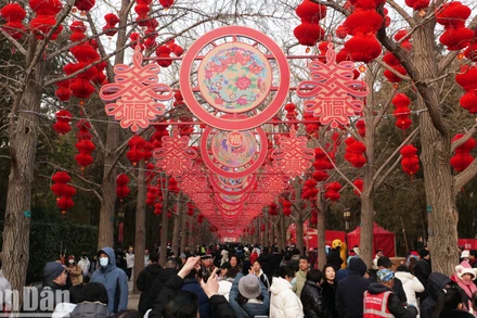 Người dân và du khách đi bộ trong không gian đậm nét văn hóa Tết truyền thống.