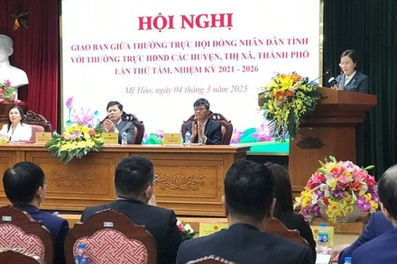 Thường trực Hội đồng nhân dân tỉnh Hưng Yên họp giao ban với Thường trực Hội đồng nhân dân các huyện, thị xã, thành phố bàn về thực hiện các giải pháp để tiếp tục nâng cao hiệu quả hoạt động của Hội đồng nhân dân các cấp trong thực hiện nhiệm vụ phát triển kinh tế-xã hội.