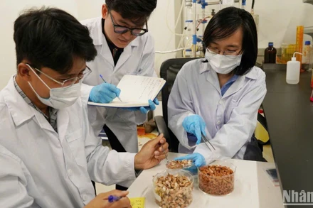 Hoạt động nghiên cứu tại Phòng Công nghệ năng lượng và Môi trường, Viện Khoa học và Công nghệ Việt Nam-Hàn Quốc.