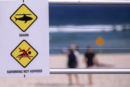 Biển cảnh báo cá mập ở Sydney, Australia. Ảnh: Tân Hoa xã