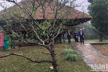 Đón xuân tại Làng Văn hóa - Du lịch các dân tộc Việt Nam.