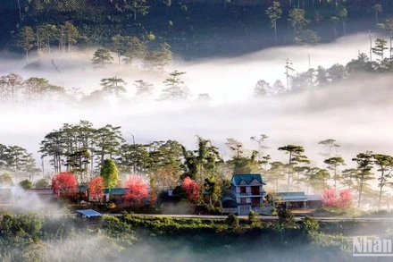 Chính quyền Đà Lạt, tỉnh Lâm Đồng những năm qua đã có nhiều cố gắng trong việc thực hiện các chương trình đầu tư tôn tạo, chỉnh trang đô thị và phục hồi “quỹ xanh” đô thị.