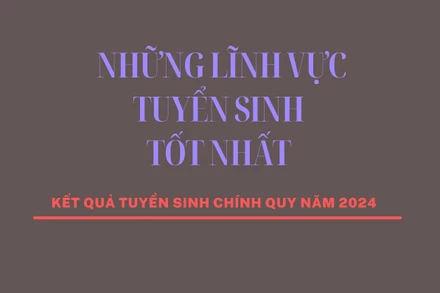 [Infographic] Những lĩnh vực tuyển sinh tốt nhất năm 2024