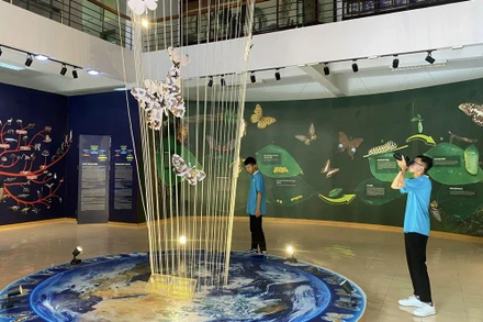 Một góc Bảo tàng Cúc Phương.