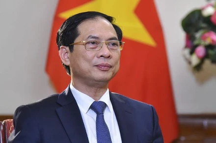 Bộ trưởng Ngoại giao Bùi Thanh Sơn.