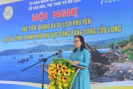 Quyền Giám đốc Sở Văn hóa-Thể thao và Du lịch Phú Yên Nguyễn Thị Hồng Thái phát biểu tại hội nghị.