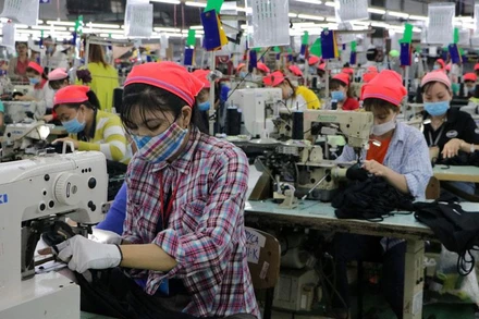 Người lao động làm việc tại một doanh nghiệp ở Đồng Nai.