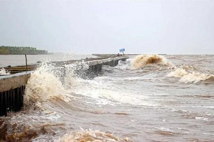 Cảnh báo gió giật cấp 8, sóng biển cao 3-5m trên nhiều vùng biển