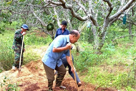 Ông Trần Đức Thi cùng thành viên Đội K51 đào tìm mộ em trai Liệt sĩ Trần Huy Luận.