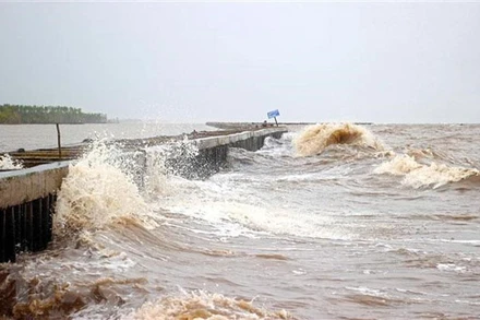 Cảnh báo gió giật cấp 8, sóng biển cao 2-4m trên nhiều vùng biển 