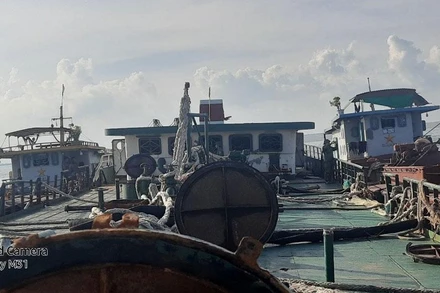 Tàu Hà An 01 chở hơn 1.000 tấn dầu DO (giữa) được 2 tàu cứu hộ lai dắt vào bờ. (Ảnh Bộ đội Biên phòng tỉnh Thái Bình cung cấp)