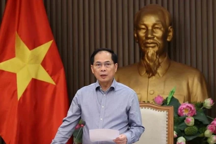 Phó Thủ tướng, Bộ trưởng Bộ Ngoại giao Bùi Thanh Sơn, Trưởng Ban Chỉ đạo quốc gia về ODA và vốn vay ưu đãi phát biểu. (Ảnh: An Đăng/TTXVN)