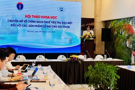 Tiến sĩ Nguyễn Khánh Phương, Viện trưởng Viện Chiến lược và Chính sách y tế trao đổi tại hội thảo.