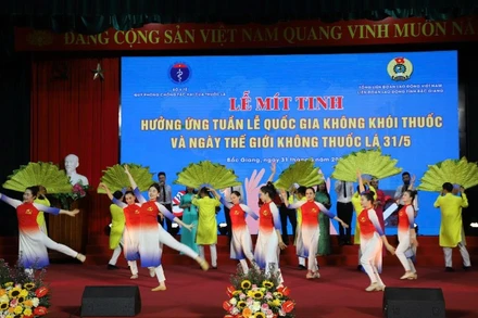 Lễ mít-tinh hưởng ứng tuần lễ quốc gia không khói thuốc và Ngày thế giới không thuốc lá (31/5) tại Thành phố Bắc Giang. (Ảnh: Trung Hiếu)