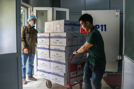 Tiếp nhận vaccine Viêm gan B về kho vaccine Quốc gia.