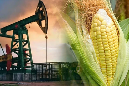 Lo ngại thiếu hụt nguồn cung đẩy giá nông sản, năng lượng tăng mạnh