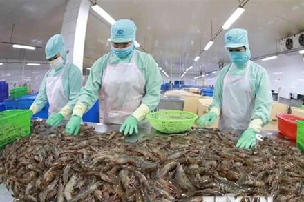 Sản phẩm thủy sản xuất khẩu.