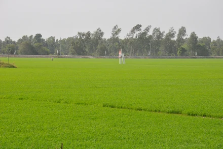 Nơi diễn ra trận đánh Ấp Bắc.