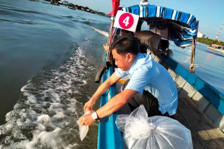 Thả giống thủy sản về tự nhiên tại đầm Đông Hồ, thành phố Hà Tiên, tỉnh Kiên Giang. 