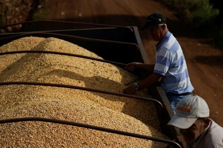 Giá nông sản đồng loạt giảm