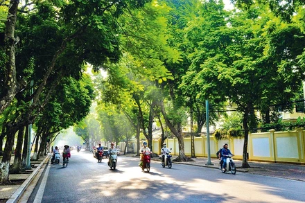 Bắc Bộ ngày nắng, sáng và đêm trời lạnh. (Ảnh minh họa)