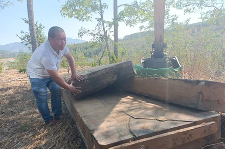 Nhiều phản gỗ có kích thước lớn được tìm thấy tại điểm tập kết đầu tiên.