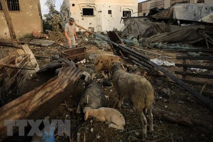 Những ngôi nhà bị phá hủy sau cuộc không kích của Israel xuống thành phố Khan Younis ở Dải Gaza, ngày 23/10/2023. (Ảnh: THX/TTXVN)
