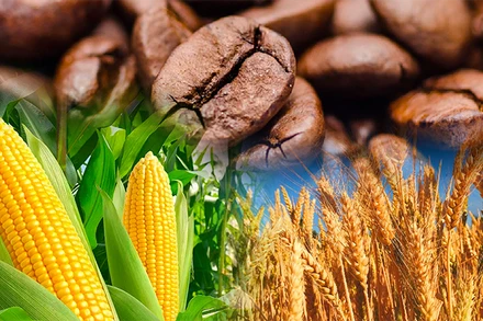 Lực mua áp đảo trên thị trường hàng hóa nguyên liệu thế giới 