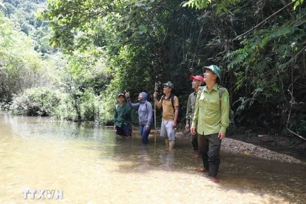 Lực lượng kiểm lâm và người dân địa phương trong khu vực suối Khe Cố, Tiểu khu 730, được khoanh nuôi, bảo vệ nguồn lợi thủy sản. 