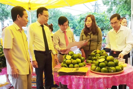 Lãnh đạo huyện Hải Lăng và Hội Nông dân tỉnh tham quan gian hàng cam hữu cơ của Công ty Bàu Giàng.