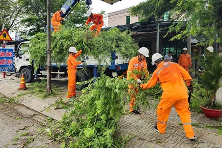 Điện lực Bến Tre phát quang cây xanh để ngăn ngừa sự cố lưới điện có mưa bão.