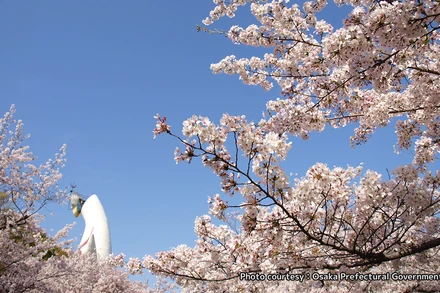 Công viên Kỷ niệm Expo '70. Ảnh: Cơ quan Xúc tiến Du lịch Nhật Bản tại Việt Nam (JNTO) cung cấp.
