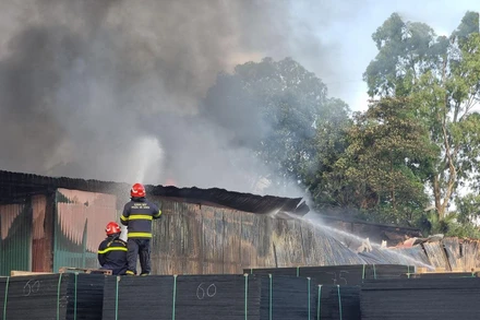 Hiện trường vụ cháy.