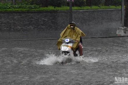 (Ảnh minh họa: THÀNH ĐẠT)