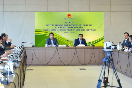 Quang cảnh tọa đàm. (Ảnh: Bộ Ngoại giao)