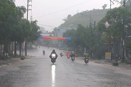 (Ảnh minh họa: Internet)