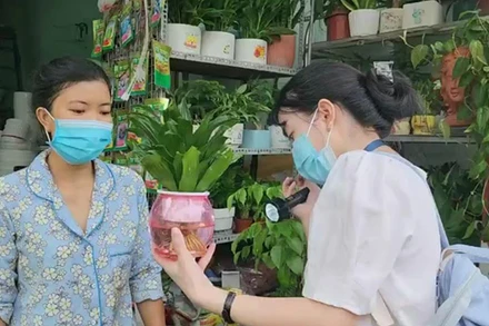 TP Hồ Chí Minh: Số ca mắc sốt xuất huyết, tay chân miệng tăng nhanh