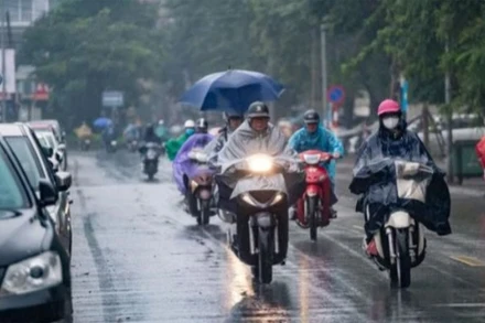 (Ảnh: THÀNH ĐẠT)