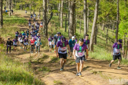 Các vận động viên tham gia giải Dalat Ultra Trail lần thứ 4. 