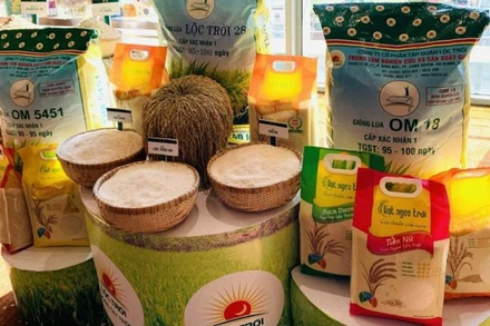 Gạo xuất khẩu tập trung vào những giống có chất lượng.