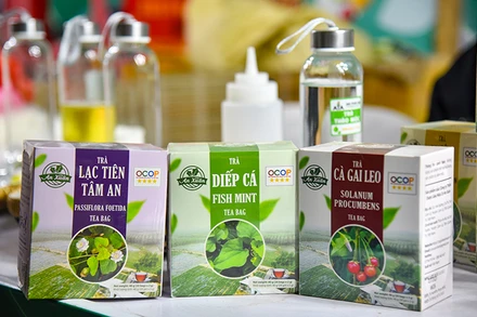 Các sản phẩm trà đạt chứng nhận OCOP 4 sao của Công ty An Xuân, huyện Cam Lộ, tỉnh Quảng Trị được trưng bày tại Tuần hàng quảng bá nông sản Hà Nội và các tỉnh, thành phố 2023. (Ảnh: Nhật Quang)