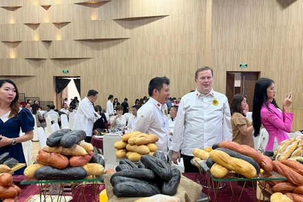 Hội thảo thu hút nhiều khách mời quốc tế tham dự.