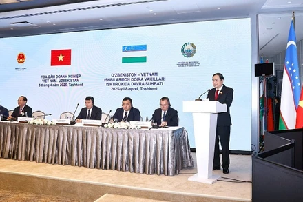 Chủ tịch Quốc hội Trần Thanh Mẫn phát biểu tại Tọa đàm. (Ảnh: TTXVN)