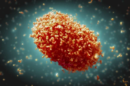 (Ảnh: Tổ chức Y tế Thế giới)