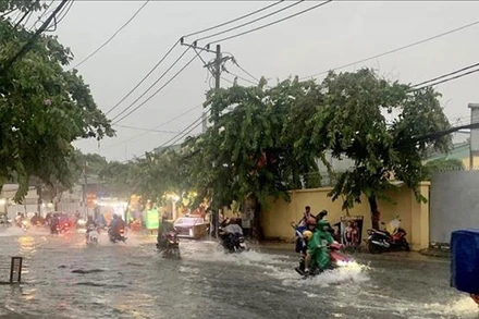 (Ảnh minh họa: TTXVN)