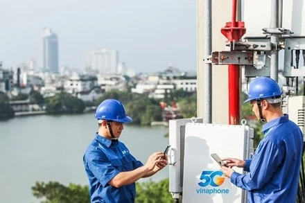 (Ảnh minh họa: TTXVN)