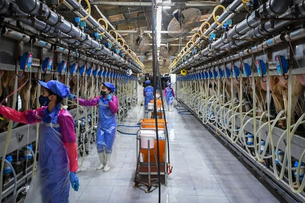 (Ảnh: Thành Đạt)