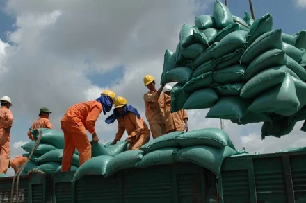 Doanh nghiệp nỗ lực xuất khẩu ngay từ những tháng đầu năm.